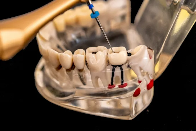 Divine Dental Centre